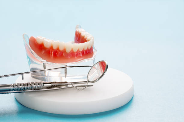 Professional Dental Services in Fredonia, NY